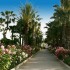 ADORA GOLF RESORT HOTEL 5 *  Adora Golf Resort Hotel 5*  (   )