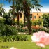 ADORA GOLF RESORT HOTEL 5 *  Adora Golf Resort Hotel 5*  (   )