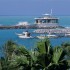     Jumeirah Beach Hotel 5*  ( )