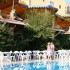 Marin Hotel  Marin Hotel 3*  ( )