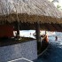     Barcelo Bavaro Palace 5*  ()