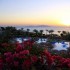   Royal Grand Sharm 5*  (  )