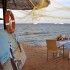   Royal Grand Sharm 5*  (  )