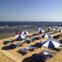   Malia Beach 4* + ( )