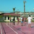   Pineta Club Hotel 4*  (  )