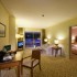 Standart suit  Rixos Hotel Tekirova 5*  (  )