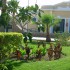   Lillyland 4*  ( )