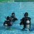    Lillyland 4*  ( )